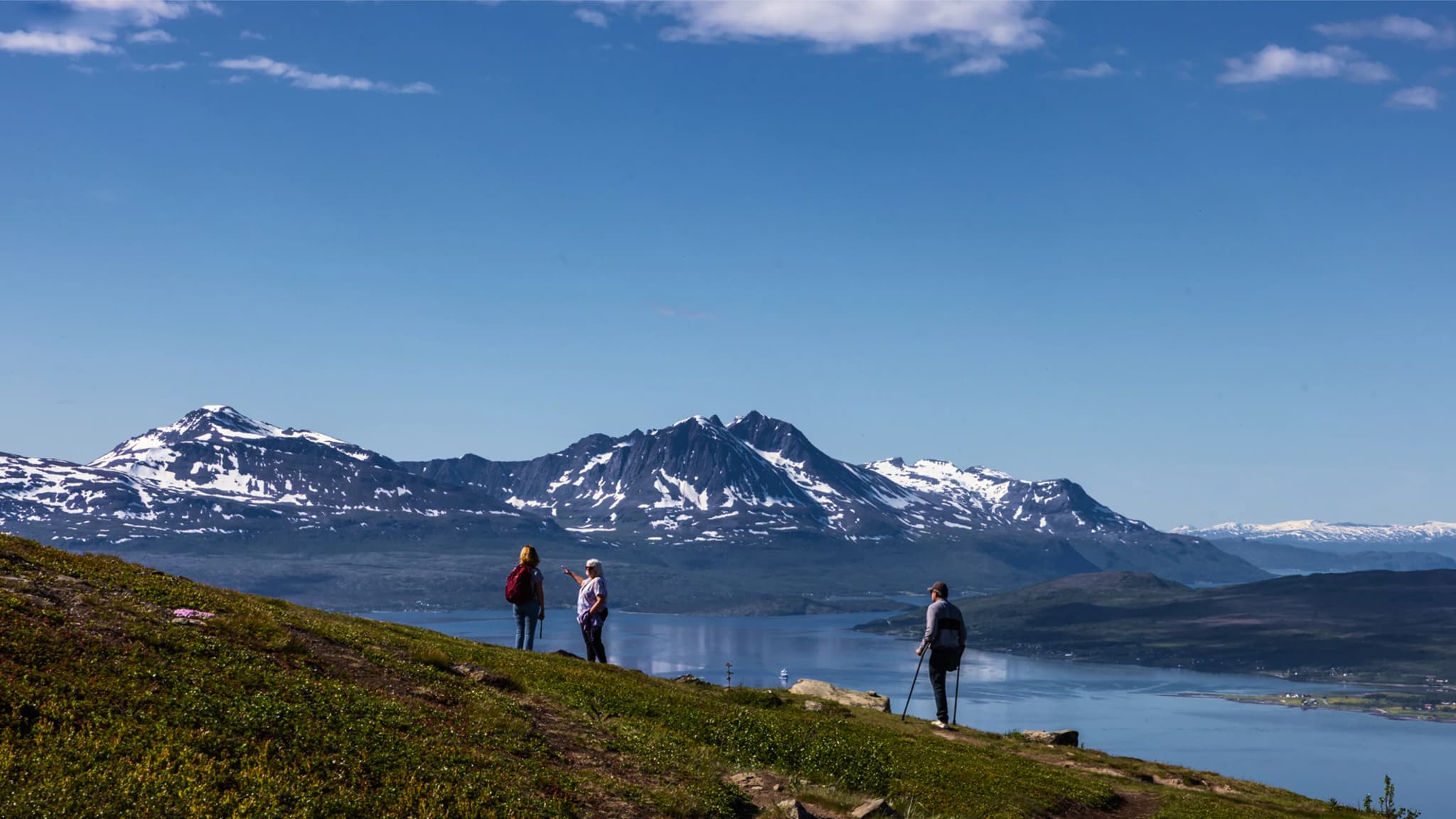 Guests looking out over a fjord and snow-capped peaks
